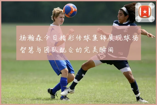 杨瀚森今日精彩传球集锦展现球场智慧与团队配合的完美瞬间