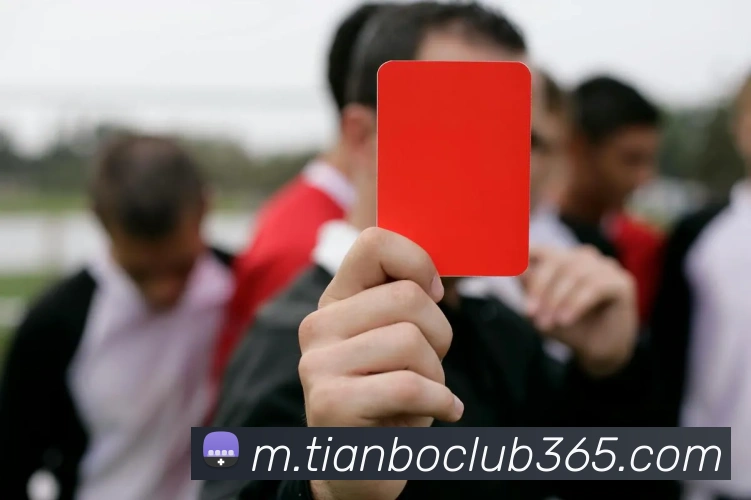 App Interface Preview