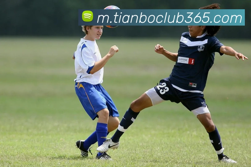 天博体育APP 封面图